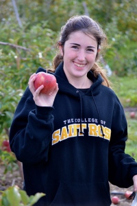 Apple Picking The College Experience